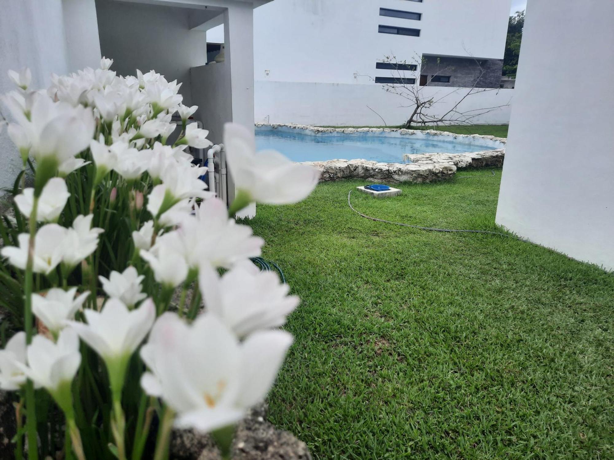 Amaxing Cancun Airport Exterior photo